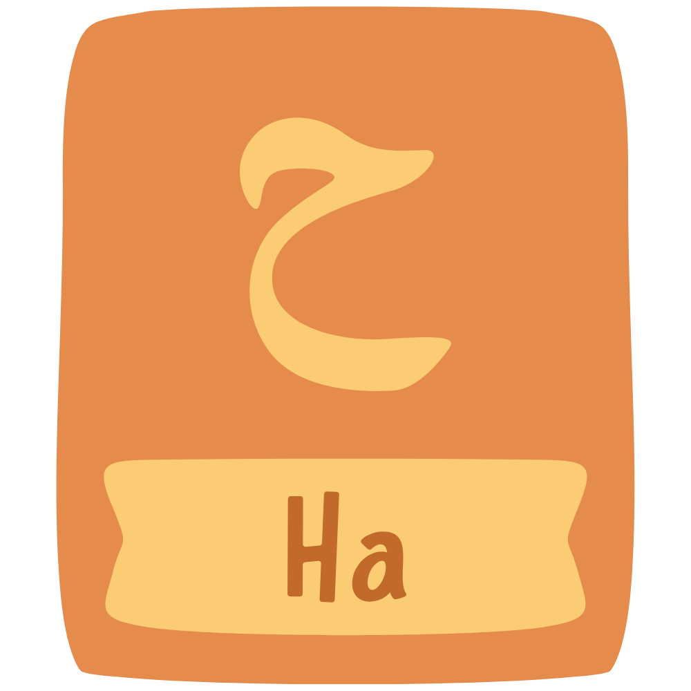 Quran & Tajweed Classes